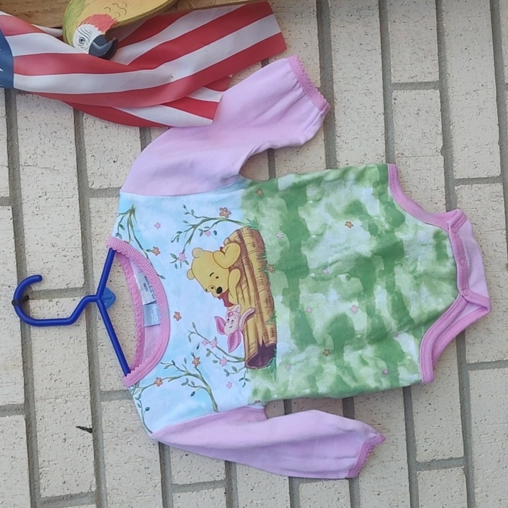 Disney Winnie the Pooh Pastel Green and Pink Bodysuit
